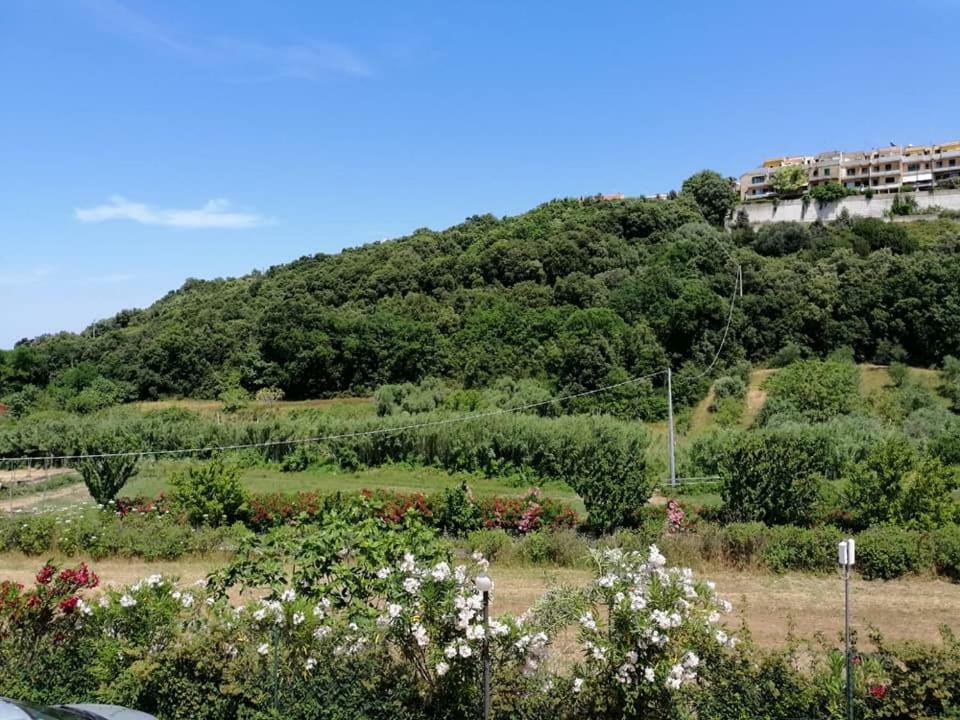 Bed and Breakfast Zio Tonino Termoli Exterior foto